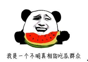 全网最牛吃瓜视频大全,揭秘娱乐圈幕后真相，笑料百出！