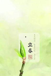 今日立春吃瓜视频直播,直播带你尝鲜瓜果飘香