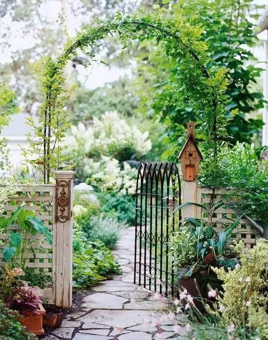 乡下小院吃瓜视频大全