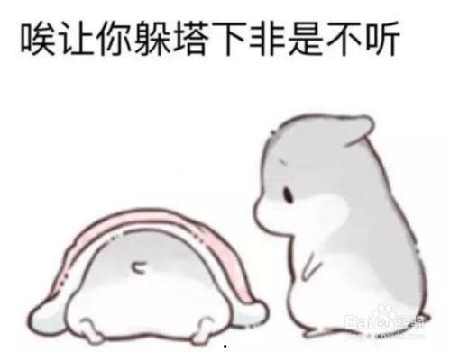 小呆瓜吃南瓜好吗视频,趣味探索南瓜的多重美味