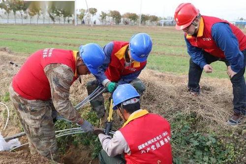 群众吃海瓜视频真实事件,一场引发社会关注的群众饮食安全风波