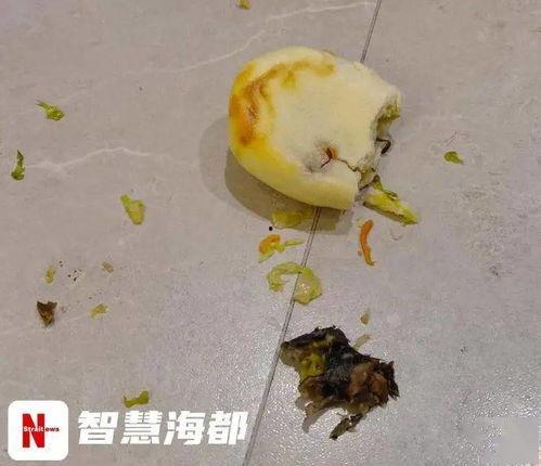 吃鼠瓜对胃肠好吗视频,揭秘其对胃肠健康的神奇益处