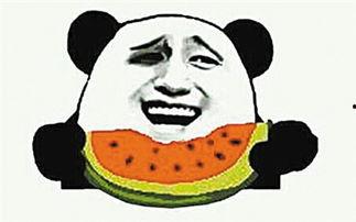 吃瓜群众恐慌视频大全集,揭秘网络恐慌背后的真相