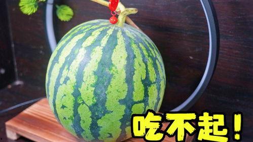 雕刻吃瓜视频教程,轻松掌握瓜果雕刻艺术