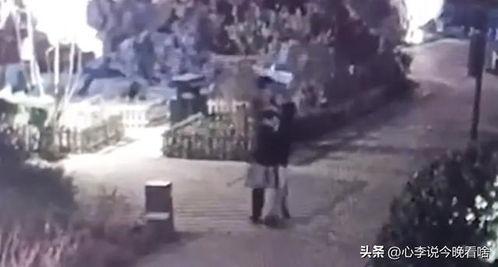迪奥晚上吃瓜的视频,一场别开生面的吃瓜盛宴